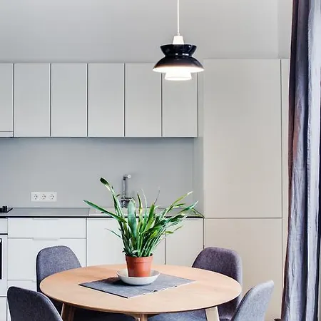 Basanaviciaus Apartment *