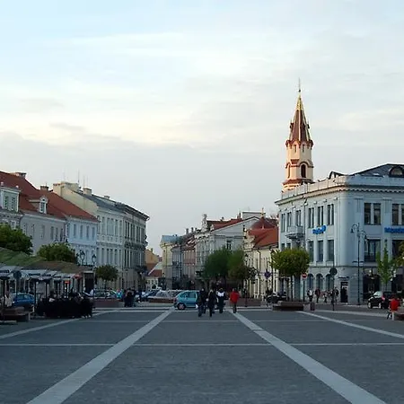 Apartamento Basanaviciaus Vilnius